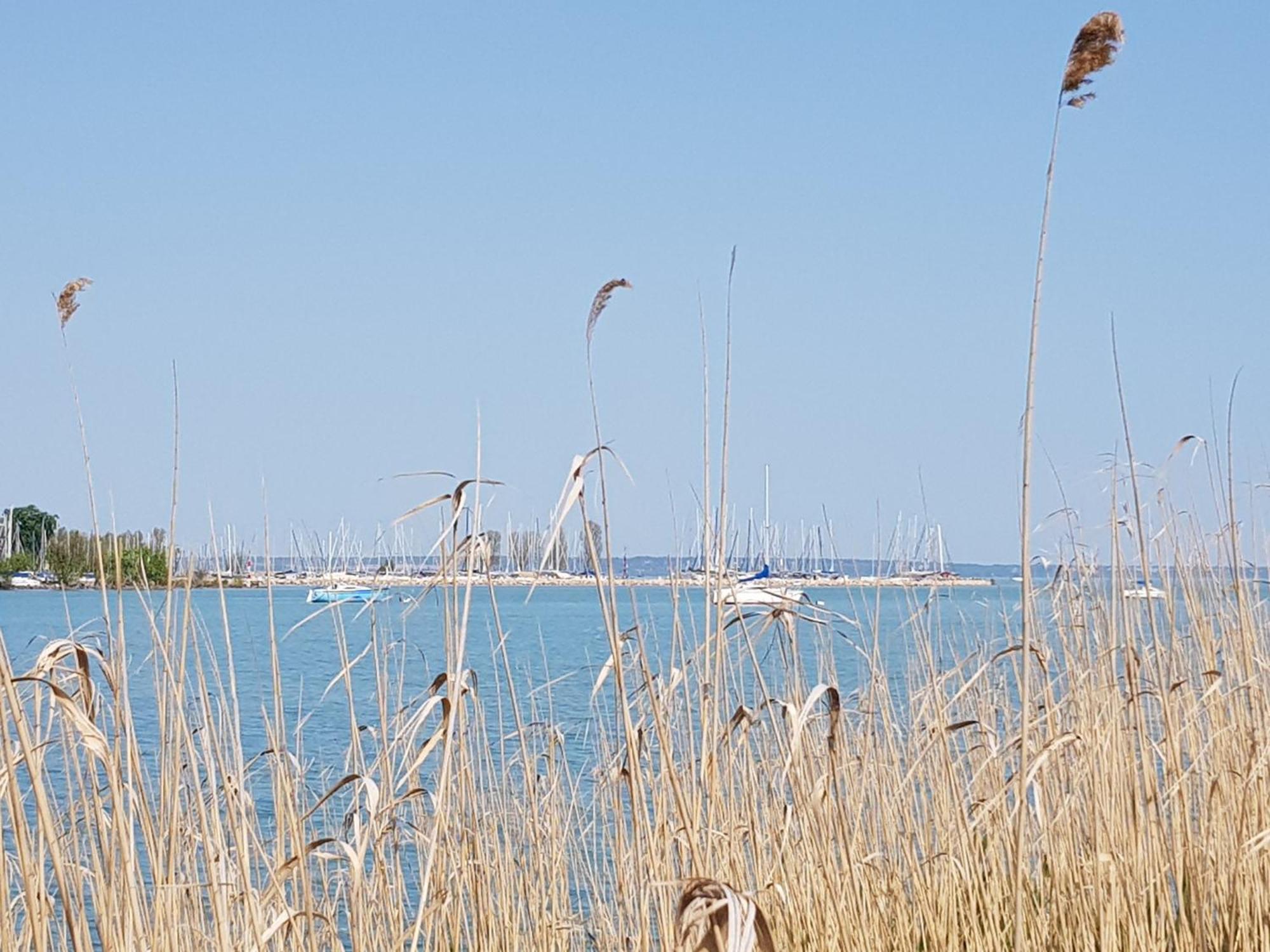Coastline Balaton Apartment Alsóörs Buitenkant foto
